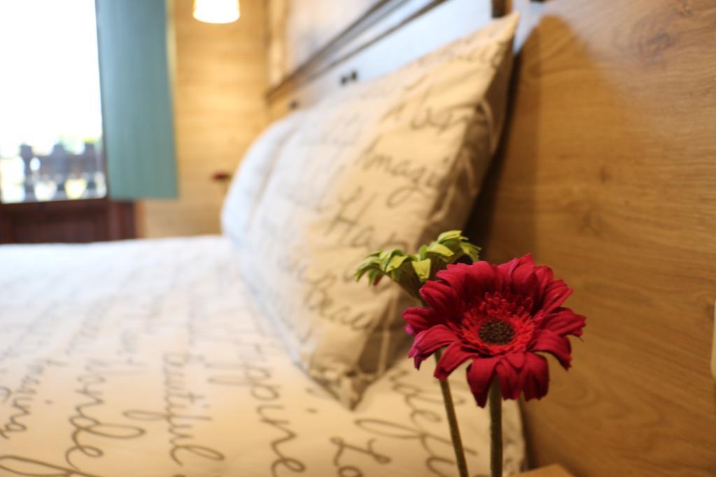 Traditional Guesthouse 트리칼라 외부 사진